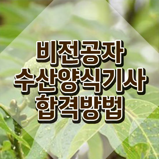  수산양식기사 자격조건 수산양식기사 응시자격 온라인 수업으로 4개월 만에 완료한 비법