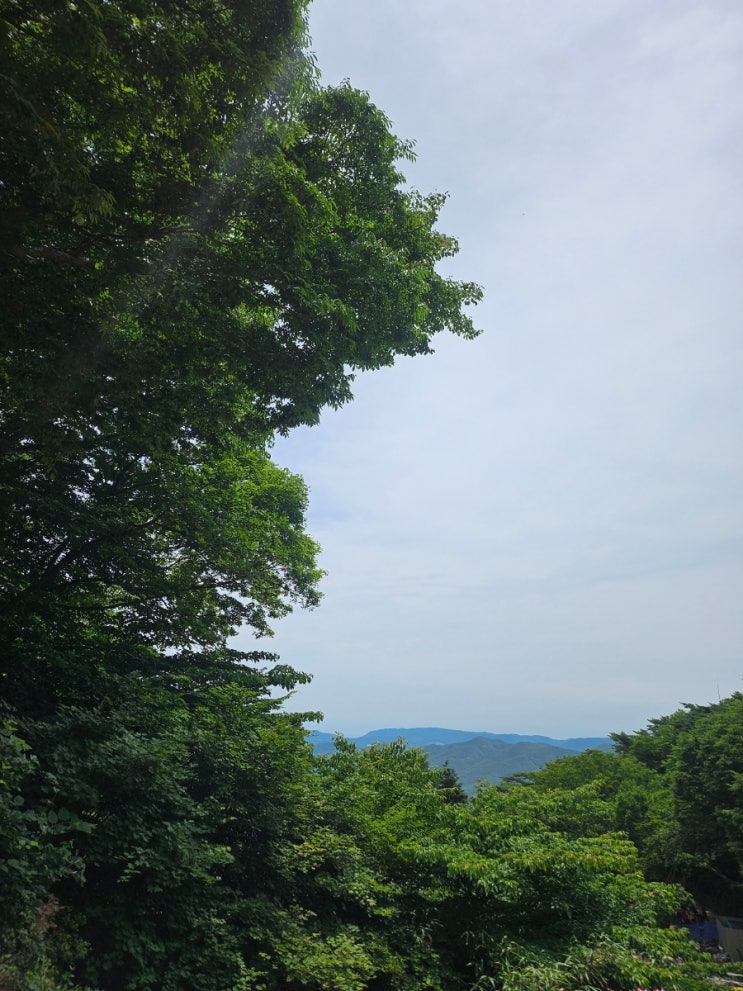  사업자 신용카드 해외사용 및 직구 부가세 공제 및 비용처리