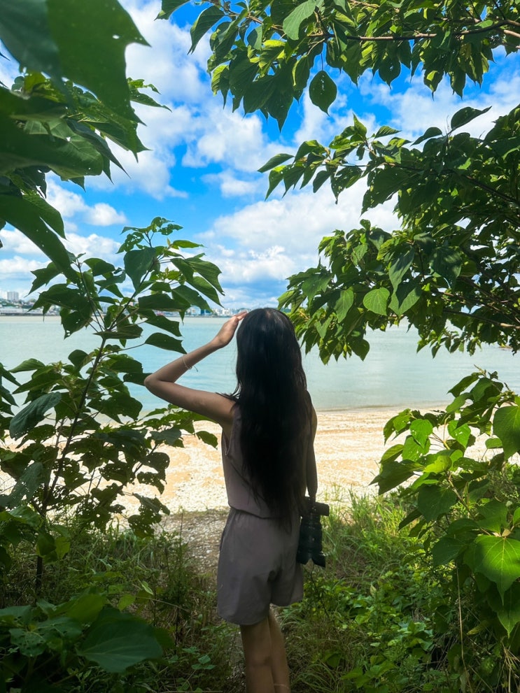 목포 여름 가볼만한곳 여행 코스 숙소 ️ 목포 여름 가볼만한곳 여행 코스 숙소 ️