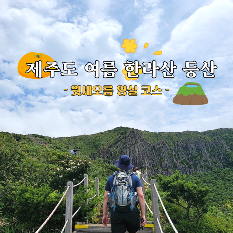  일상 4. 제주도 여름 한라산 등반코스 윗세오름 등린이 초보자 영실코스