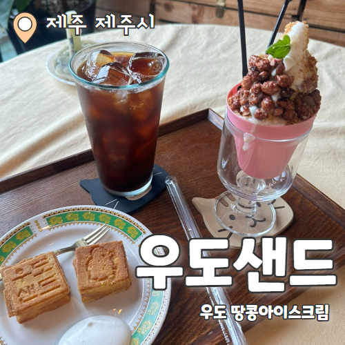  우도샌드 : 우도땅콩아이스크림이 맛있는 우도 고양이카페 추천 후기