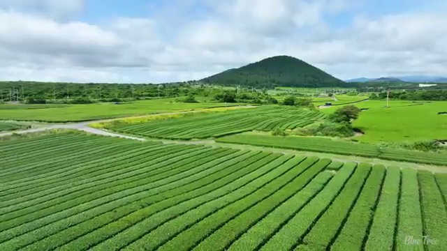  홈페이지제작사 ! 바른웹을 활용해 독립형 홈페이지로 예산에 맞게 제작해보자!
