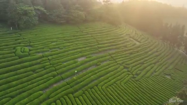  세종시 사회복지2급자격증 사회복지사2급 중년 직장인도 인강으로 간단하게