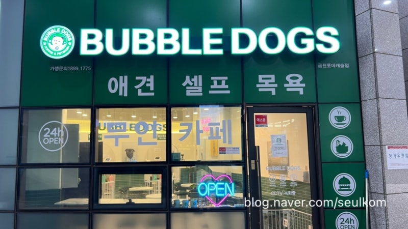 사진 2