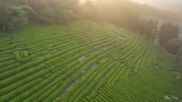  산림기사 복장 산림기사 시험응시자격 집에서 온라인으로 반 년만에 끝낸 비법