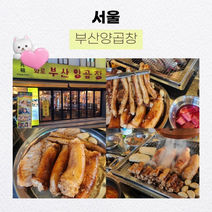  서울 잠실새내 소곱창 , 잠실새내 부산양곱창, 잠실 연예인 맛집 : 부산양곱창