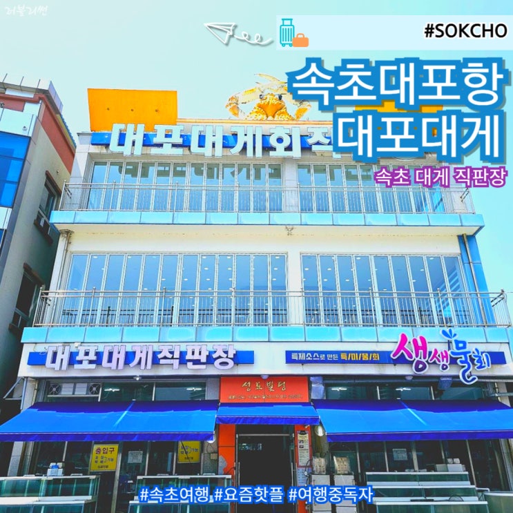  강원도 속초 대포항 수산시장 대게 맛집 대포대게회직판장