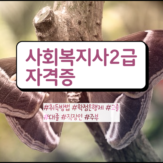  용인 사회복지사취직 ~ 사회복지사2급 중년 직장인도 학은제로 간편하게