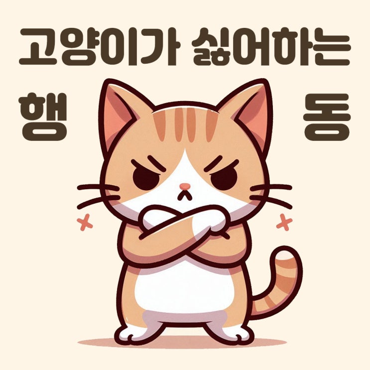  고양이가 싫어하는 행동 이것만은 하지말아주세요