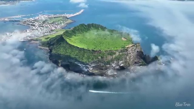  수산물 품질관리사 ,