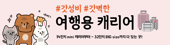  5년간 잘 사용했던 22인치 캐리어 후기 기내 사이즈 허용 규정 알아보기