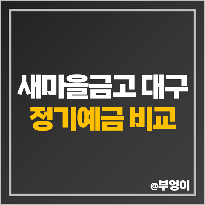 대구 새마을금고 정기예금 금리 비교 이자 높은 예금 특판 추천 대구 새마을금고 정기예금 금리 비교 이자 높은 예금 특판 추천