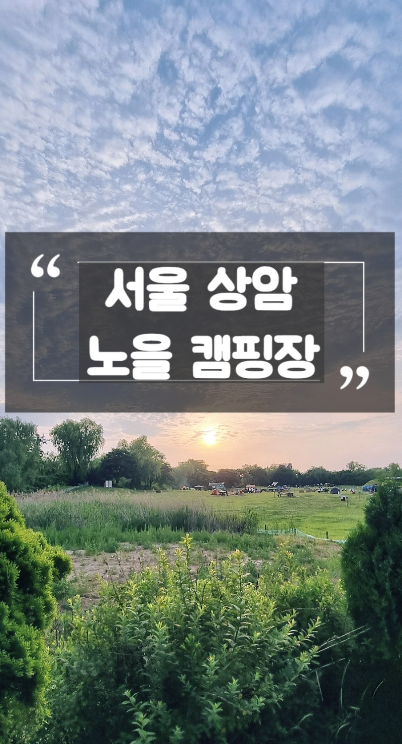 서울상암 하늘공원 노을캠핑장 추천사이트 A구역 11번사이트 후기