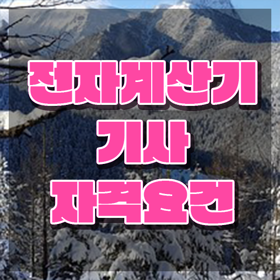  전자계산기기사 시험자격 인강으로 5달만에 끝낸 과정
