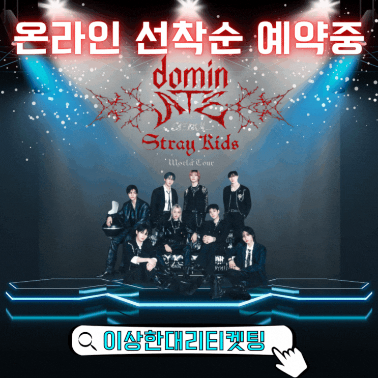 <b>스트레이</b>키즈 콘서트 dominATE 예매 기본정보 이상한 티켓팅
