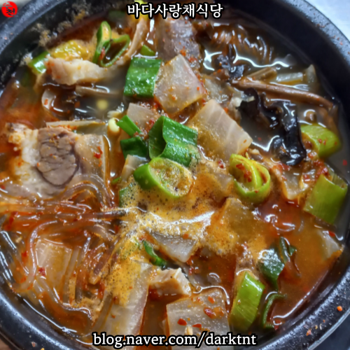 이호테우 해수욕장 현사포구 맛집 바다사랑채식당 제주공항 근처 한식 아침식사 추천