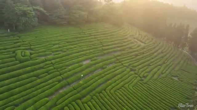  gv80장기렌트가격 리스 , 진짜 실용적인 절세 방법 초기 비용 없이 필수입니다. !