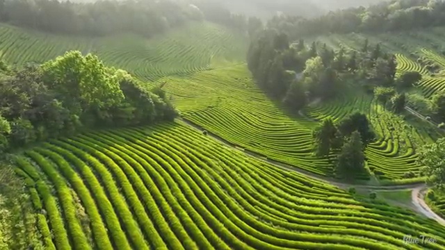  베트남 여행비용 절약하는 비법 , 현지 전문가 가 정리해드려요 (무료 서비스)