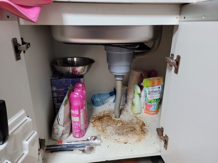  비 많이 오면 싱크대 화장실 바닥에 물이 넘치고 역류 물역류 막는법