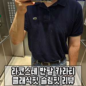 라코스테 반팔 카라티 클래식핏 슬림핏 리뷰 (빈티지, 라이브, 사이즈 팁, 구매 여러가지 리....