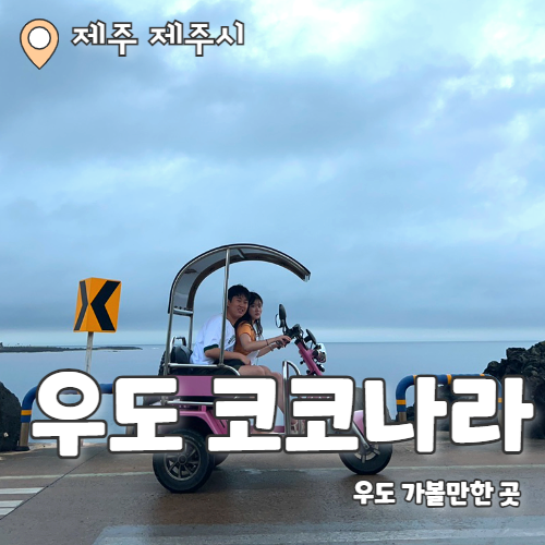  우도 코코나라 : 우도 가볼만한곳 시간제한 없는 우도 전기차 대여 솔직후기