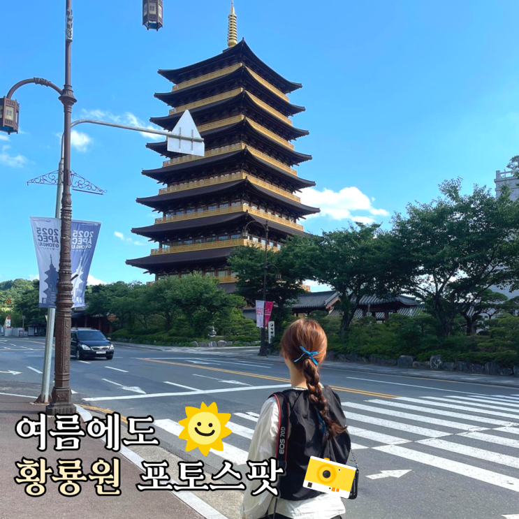  경주 황룡원 포토스팟과 여름에도 쾌적하게 감상할 수 있는 천군복합문화공간x에브리블랙 보문단지 카페