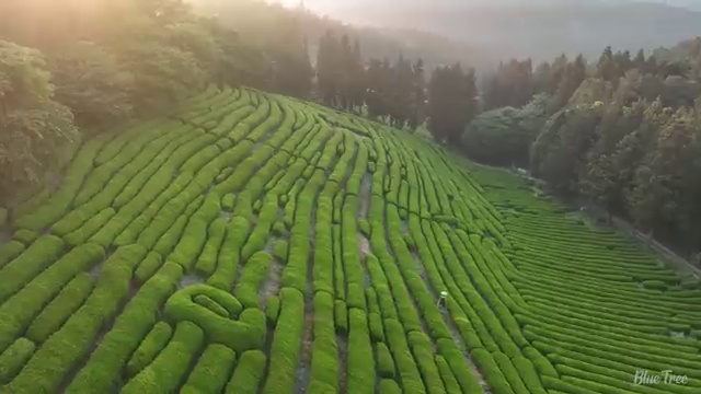  수산물품질관리사 ,
