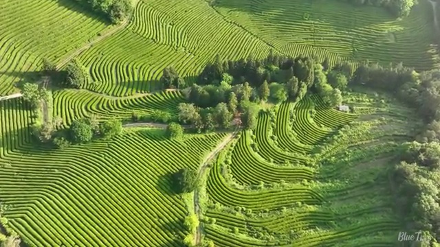  아산 사회복지직 공무원 사회복지사2급 중년 직장인도 학은제 활용하여 편하게
