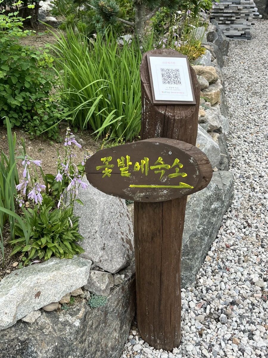 두메향 횡성펜션 사진 2