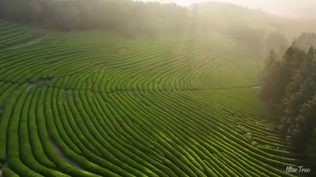  반응형홈페이지제작 ! 바른웹의 도움으로 저렴하게 독립형 홈페이지로 바꿔보세요!