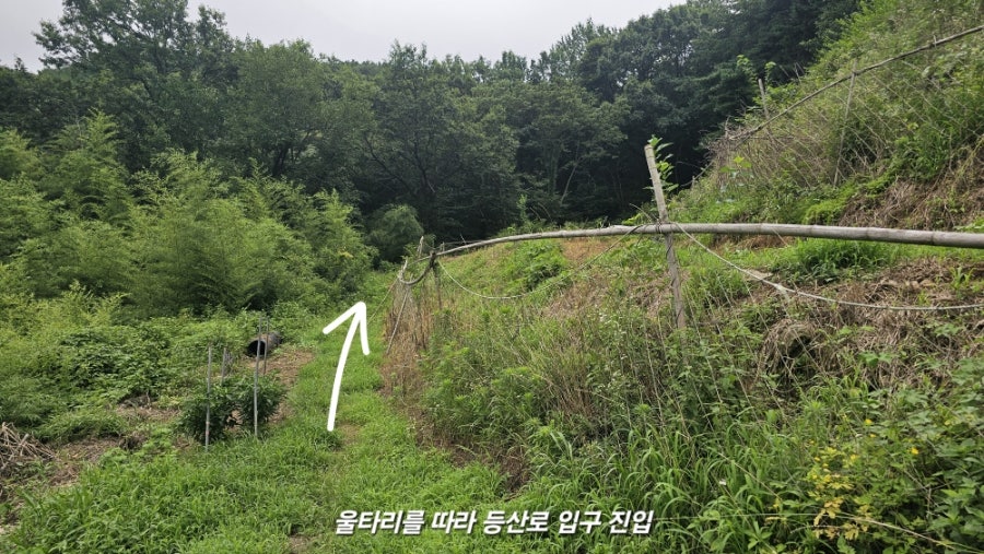 금계지 사진 5