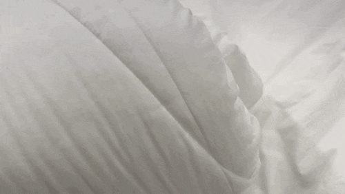  신혼 침구 이불세트 라지킹 <이브자리 종로4가점>바이오워싱 알러지프리 이불 계약o  온누리상품권 사용법