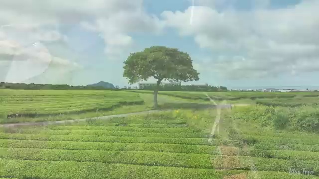  천안 사회복지 전담공무원시험 사회복지사2급 조건이 안돼도 온라인 과정으로 쉽고 빠르게