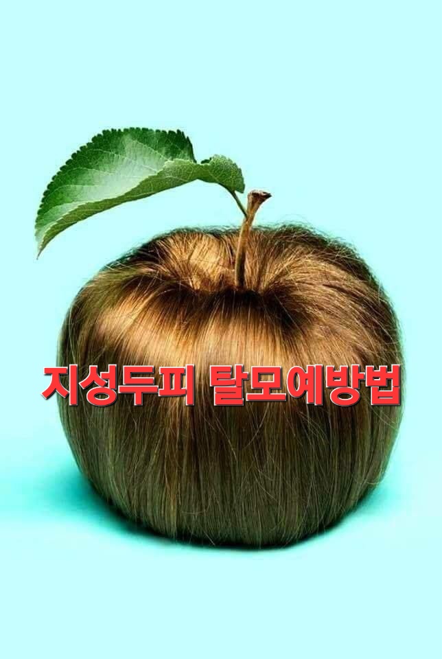  전주smp두피문신 지성 두피 탈모 예방법