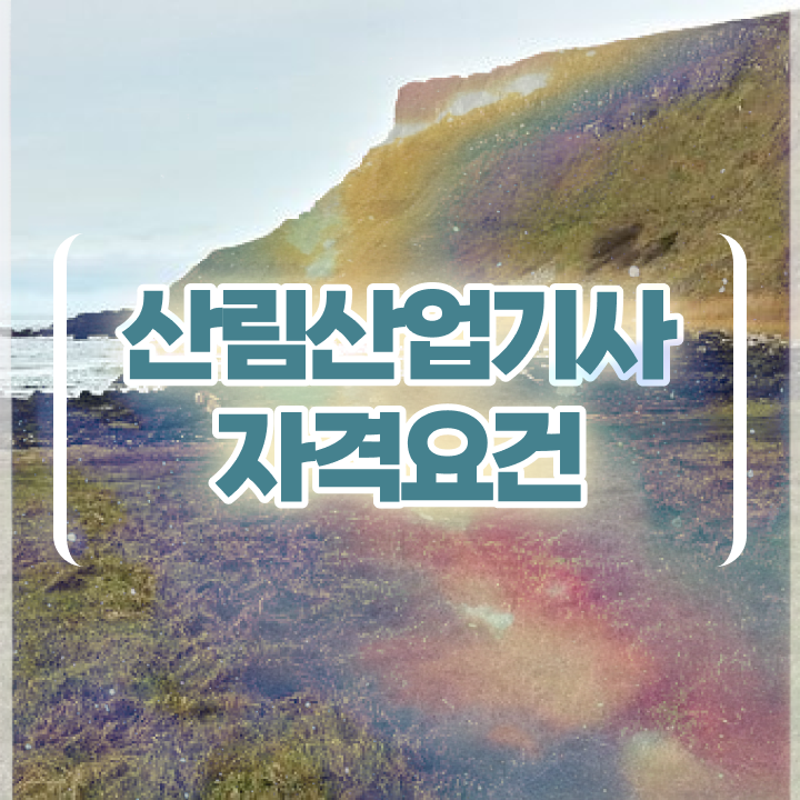  산림산업기사 자격조건 산림산업기사 응시자격 인강으로 5개월 만에 성공한 후기