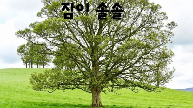  잠 못 자는 이유 4가지 불면증 없애는 식품 10종류