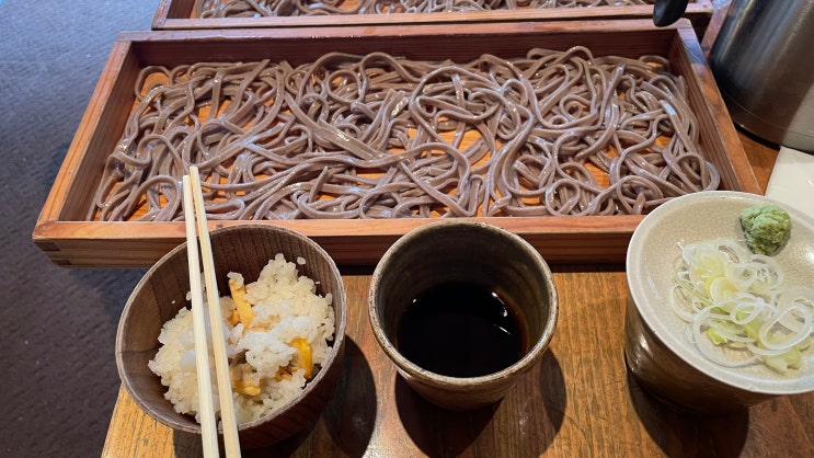  히로시마 3박4일 4일차 (24/03/09~24/03/12)