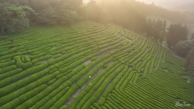  동대문구 제기동 세면대물막힘 완벽 정복 하기!