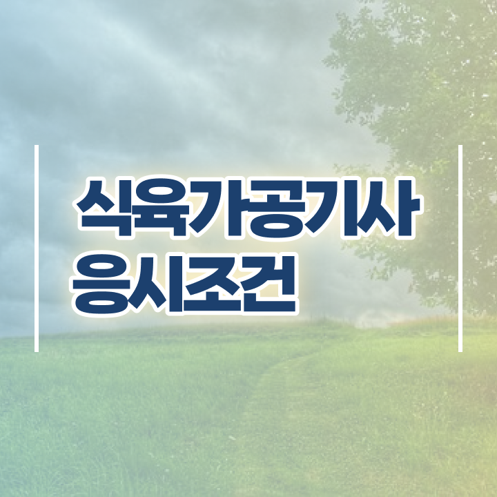  식육가공기사 응시자격 온라인 과정으로 빠르게 준비한 후기
