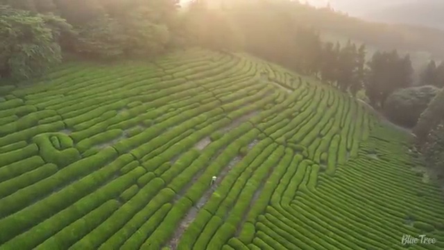  광주 사회복지사2급이수과목 , 사회복지사2급 학력 상관없이 학점은행제 인강으로 간단하게