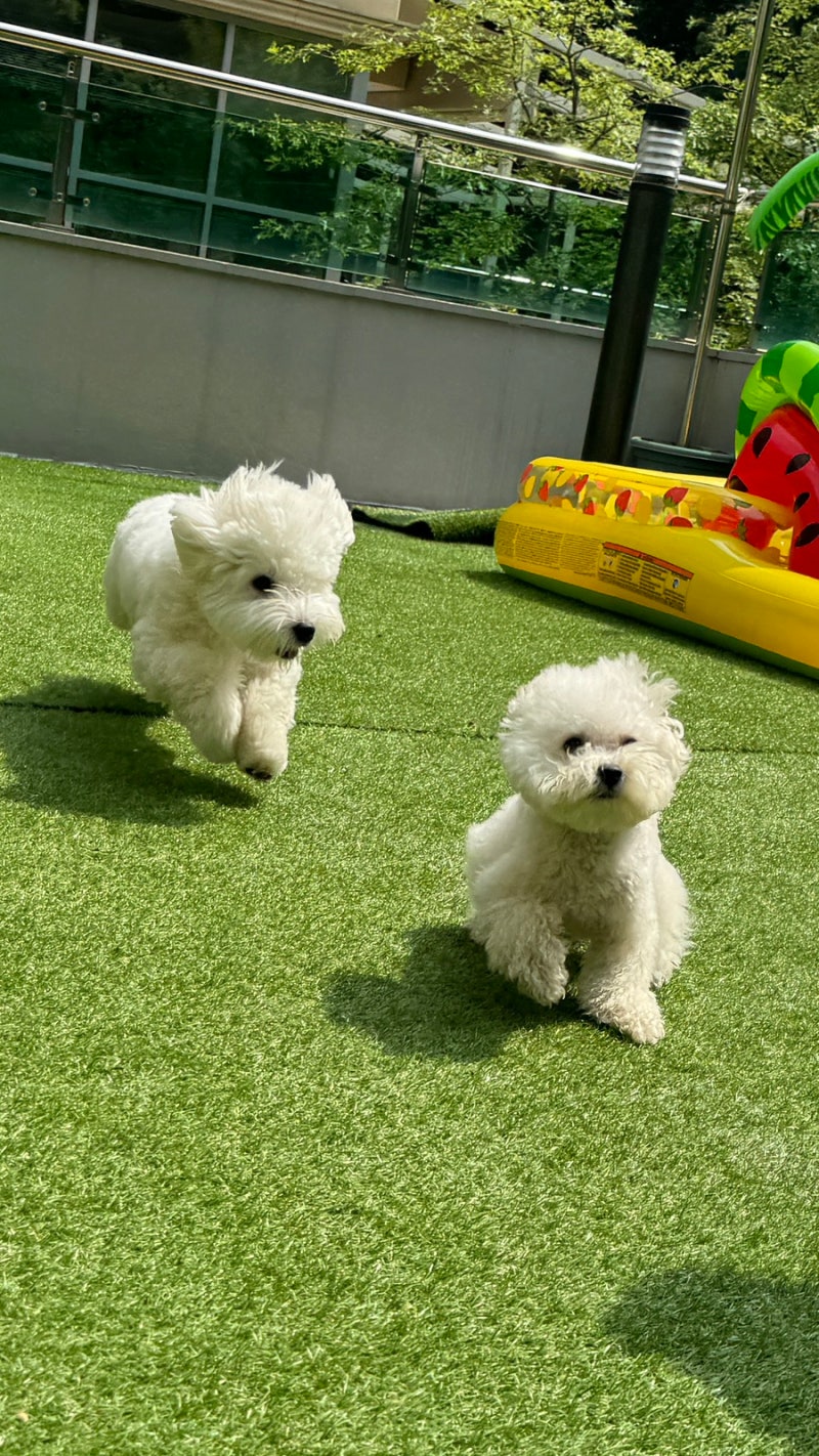 사진 10
