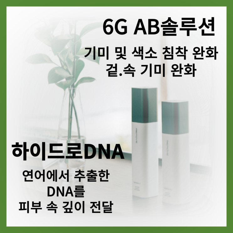  6G AB 솔루션 기미 색소 침착 완화