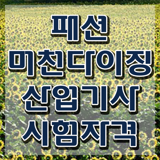  패션머천다이징산업기사 필기 패션머천다이징산업기사 시험응시자격 독학으로 5개월 만에 준비한 전략