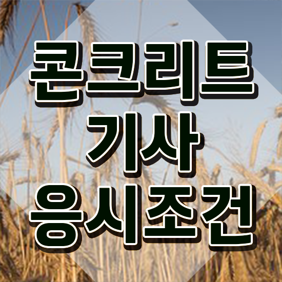  콘크리트기사 필기과목 콘크리트기사 자격요건 온라인 과정으로 4달만에 성공한 방법