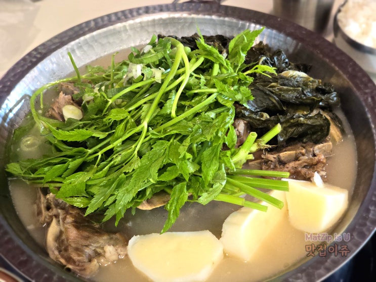 둔산동맛집 삼삼뼈국 제대로 진국인 맑은 미나리감자탕 후기