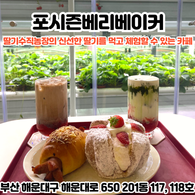  부산INFJ의 카페여행 - [부산 해운대] 포시즌베리베이커리 : 사계절 내내 맛있는 딸기 음료와 베이커리가 잔뜩있는 해운대카페