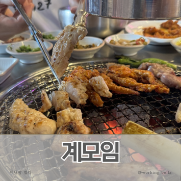  성신여대 숯불닭갈비 맛집 계모임 닭 특수부위 전문점