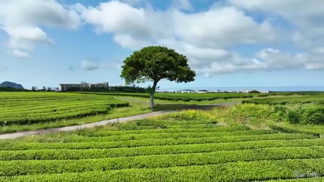  신차장기렌트카 단점 렌트 , 합당한 가격에 견적서 받아보기