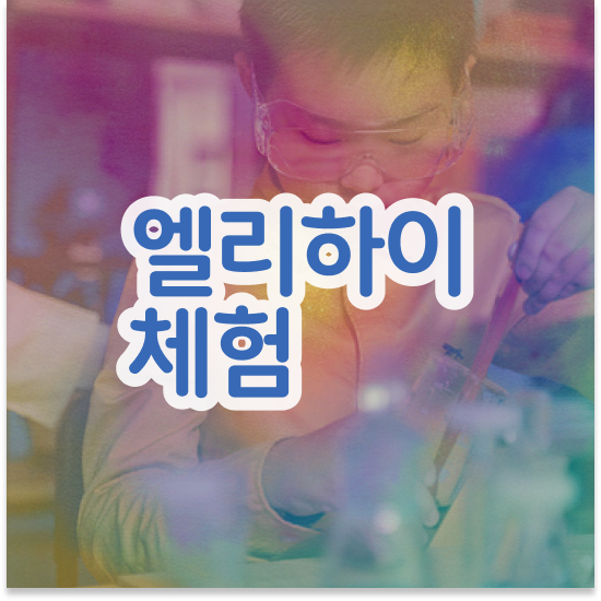  7세 엘리하이로
