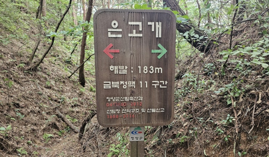 금계지 사진 2